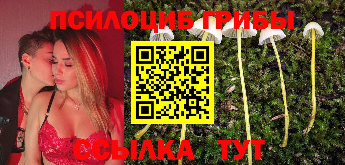 купить наркоту  Галлюциногенные грибы Magic Shrooms  Тейково  Вход с VPN  Псилоцибиновые грибы Psilocybine cubensis 